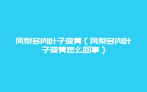 凤梨多肉叶子变黄（凤梨多肉叶子变黄怎么回事）