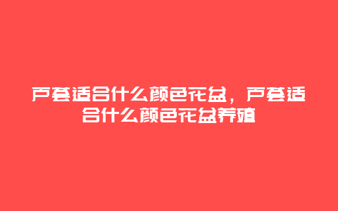 芦荟适合什么颜色花盆，芦荟适合什么颜色花盆养殖