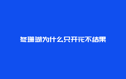 冬珊瑚为什么只开花不结果