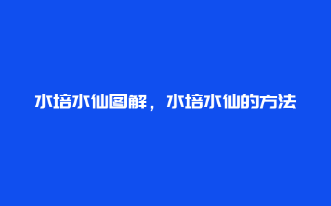 水培水仙图解，水培水仙的方法