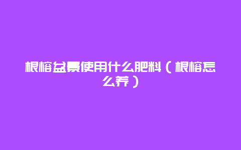 根榕盆景使用什么肥料（根榕怎么养）