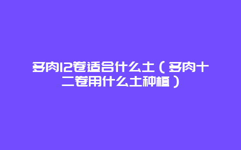 多肉12卷适合什么土（多肉十二卷用什么土种植）