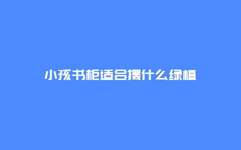 小孩书柜适合摆什么绿植