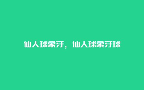 仙人球象牙，仙人球象牙球