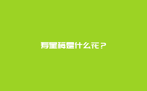 寿星梅是什么花？