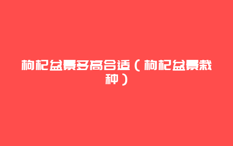 枸杞盆景多高合适（枸杞盆景栽种）