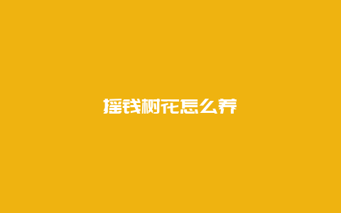 摇钱树花怎么养