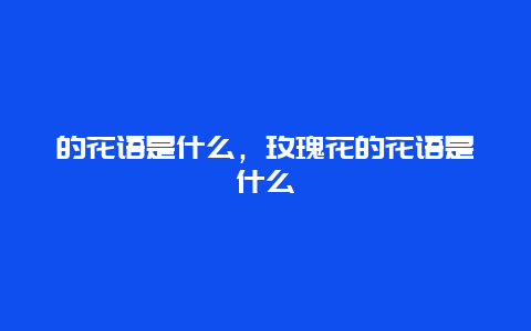 的花语是什么，玫瑰花的花语是什么