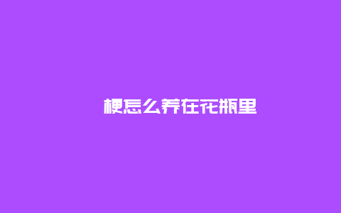 桔梗怎么养在花瓶里