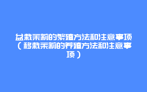 盆栽茉莉的繁殖方法和注意事项（移栽茉莉的养殖方法和注意事项）