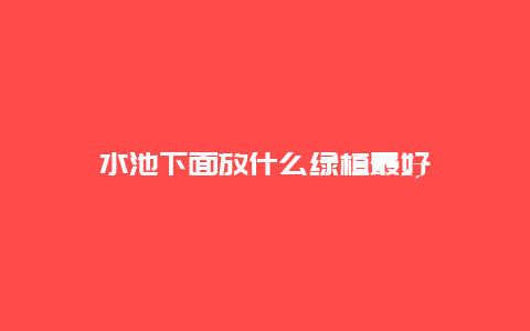 水池下面放什么绿植最好