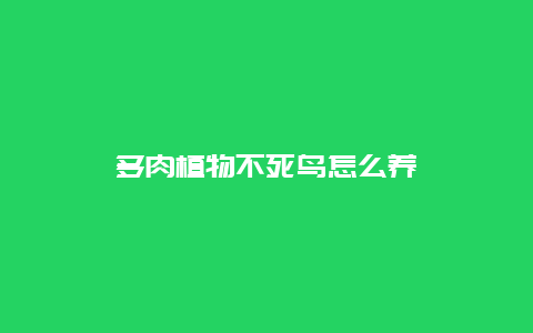 多肉植物不死鸟怎么养