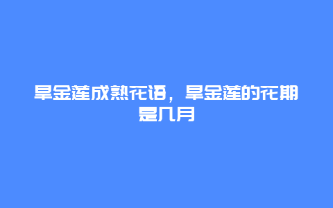 旱金莲成熟花语，旱金莲的花期是几月