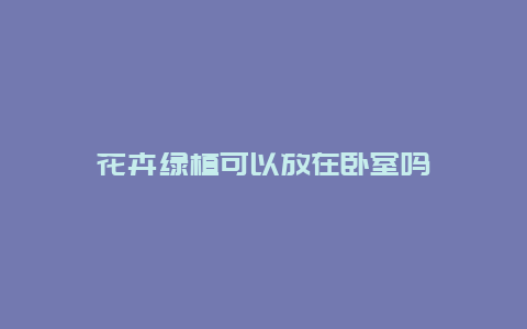 花卉绿植可以放在卧室吗