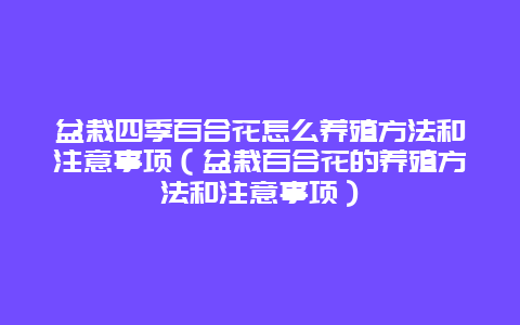 盆栽四季百合花怎么养殖方法和注意事项（盆栽百合花的养殖方法和注意事项）