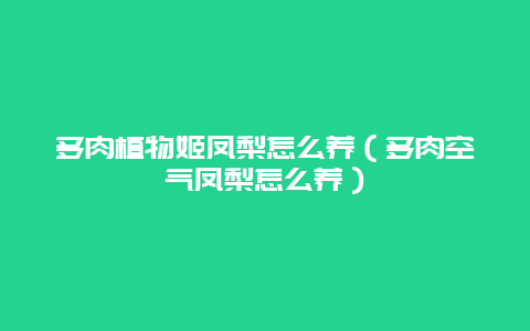 多肉植物姬凤梨怎么养（多肉空气凤梨怎么养）