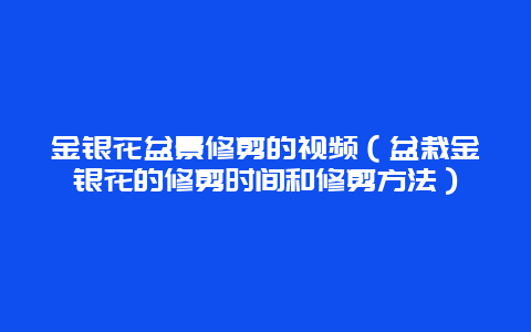 金银花盆景修剪的视频（盆栽金银花的修剪时间和修剪方法）