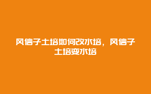 风信子土培如何改水培，风信子土培变水培