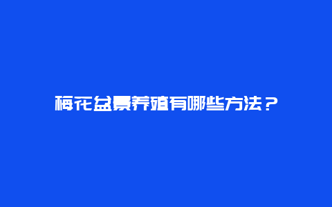 梅花盆景养殖有哪些方法？