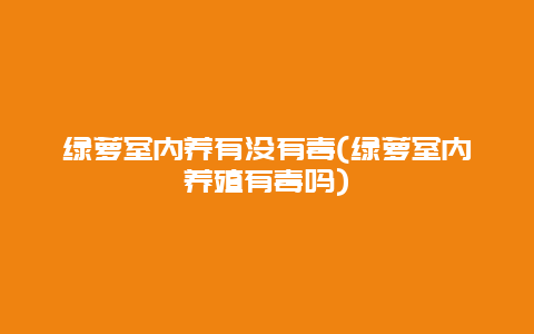 绿萝室内养有没有毒(绿萝室内养殖有毒吗)