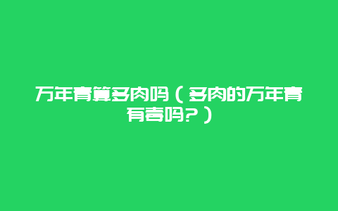 万年青算多肉吗（多肉的万年青有毒吗?）