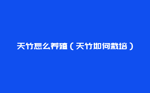 天竹怎么养殖（天竹如何栽培）