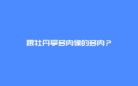 跟牡丹亭多肉像的多肉？