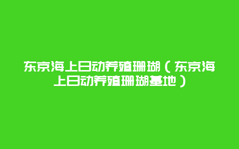 东京海上日动养殖珊瑚（东京海上日动养殖珊瑚基地）