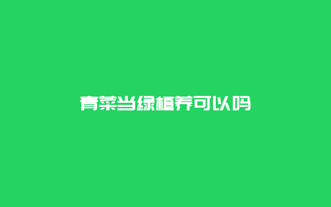 青菜当绿植养可以吗