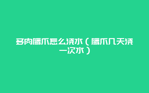 多肉鹰爪怎么浇水（鹰爪几天浇一次水）