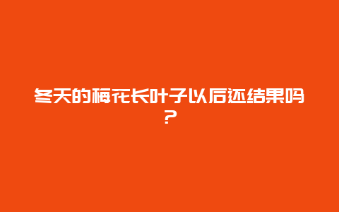 冬天的梅花长叶子以后还结果吗？