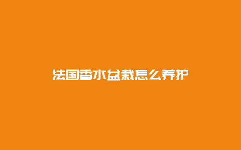 法国香水盆栽怎么养护