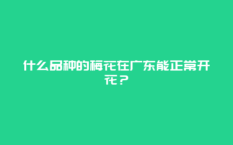 什么品种的梅花在广东能正常开花？