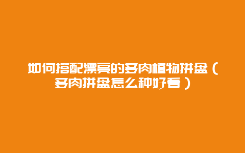 如何搭配漂亮的多肉植物拼盘（多肉拼盘怎么种好看）