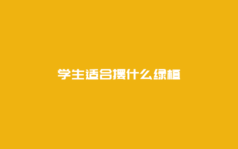 学生适合摆什么绿植