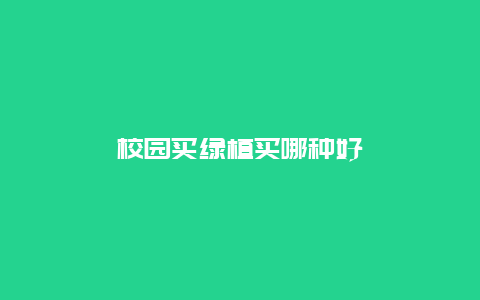 校园买绿植买哪种好