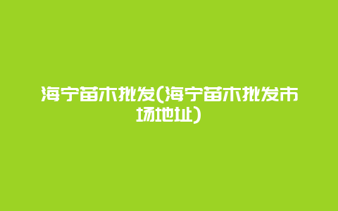 海宁苗木批发(海宁苗木批发市场地址)