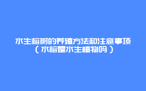 水生榕树的养殖方法和注意事项（水榕是水生植物吗）