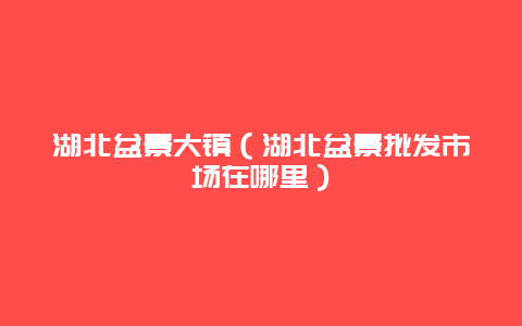 湖北盆景大镇（湖北盆景批发市场在哪里）