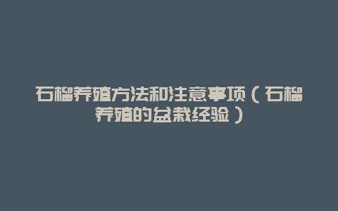 石榴养殖方法和注意事项（石榴养殖的盆栽经验）