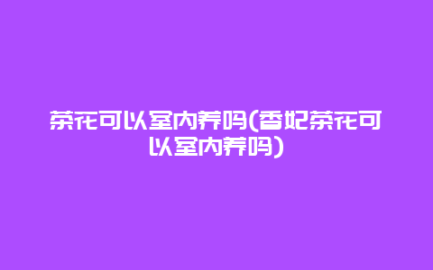 茶花可以室内养吗(香妃茶花可以室内养吗)