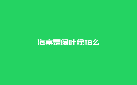 海棠是阔叶绿植么