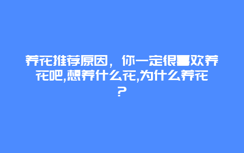 养花推荐原因，你一定很喜欢养花吧,想养什么花,为什么养花?