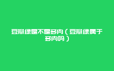 豆瓣绿是不是多肉（豆瓣绿属于多肉吗）