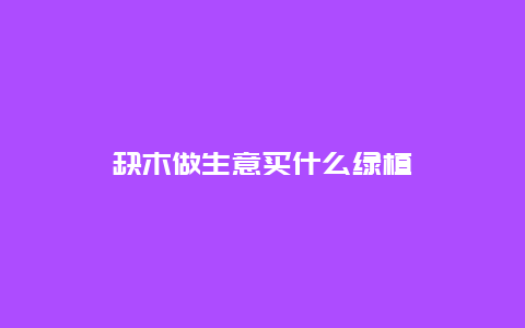 缺木做生意买什么绿植