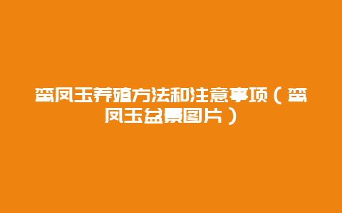 鸾凤玉养殖方法和注意事项（鸾凤玉盆景图片）