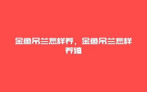 金鱼吊兰怎样养，金鱼吊兰怎样养殖