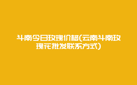 斗南今日玫瑰价格(云南斗南玫瑰花批发联系方式)