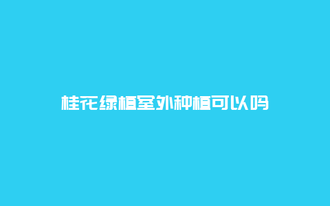 桂花绿植室外种植可以吗