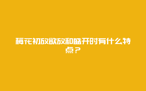 梅花初放欲放和盛开时有什么特点？